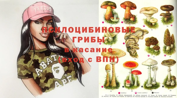 spice Баксан