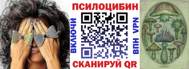 OMG tor  Унеча  Псилоцибиновые грибы ЛСД 