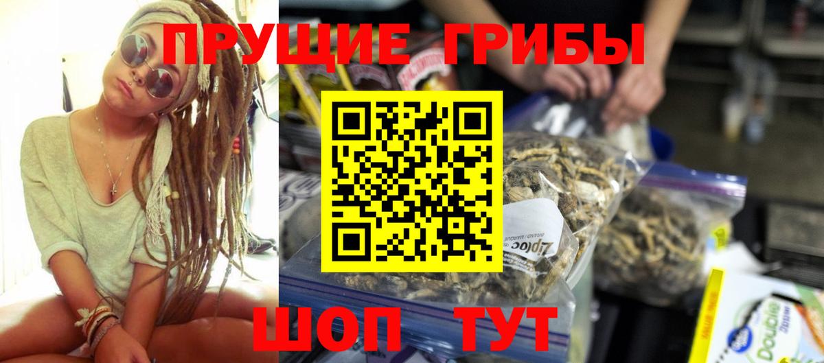 Галлюциногенные грибы GOLDEN TEACHER Унеча