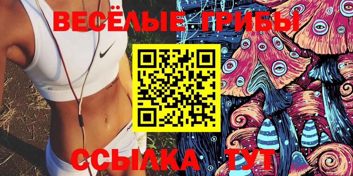 Унеча  Галлюциногенные грибы Psilocybine cubensis  Вход с VPN  Псилоцибиновые грибы ЛСД 